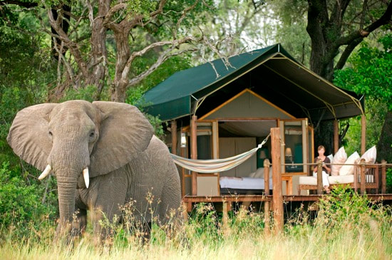 Tanzania Safari From South Africa holi